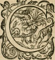 An illustration from Somme rural, ou, Le grand coustumier general de practique civil et canon (1611)