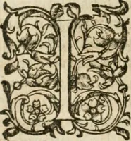 An illustration from Somme rural, ou, Le grand coustumier general de practique civil et canon (1611)