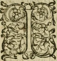 An illustration from Somme rural, ou, Le grand coustumier general de practique civil et canon (1611)