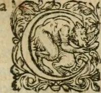 An illustration from Somme rural, ou, Le grand coustumier general de practique civil et canon (1611)