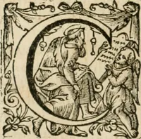 An illustration from Somme rural, ou, Le grand coustumier general de practique civil et canon (1611)