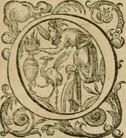An illustration from Somme rural, ou, Le grand coustumier general de practique civil et canon (1611)