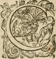 An illustration from Somme rural, ou, Le grand coustumier general de practique civil et canon (1611)