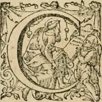 An illustration from Somme rural, ou, Le grand coustumier general de practique civil et canon (1611)