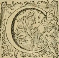 An illustration from Somme rural, ou, Le grand coustumier general de practique civil et canon (1611)