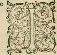An illustration from Somme rural, ou, Le grand coustumier general de practique civil et canon (1611)