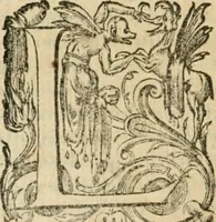 An illustration from Somme rural, ou, Le grand coustumier general de practique civil et canon (1611)