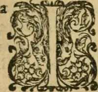 An illustration from Somme rural, ou, Le grand coustumier general de practique civil et canon (1611)