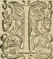 An illustration from Somme rural, ou, Le grand coustumier general de practique civil et canon (1611)