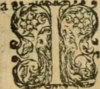 An illustration from Somme rural, ou, Le grand coustumier general de practique civil et canon (1611)