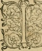 An illustration from Somme rural, ou, Le grand coustumier general de practique civil et canon (1611)