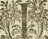 An illustration from Somme rural, ou, Le grand coustumier general de practique civil et canon (1611)