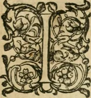 An illustration from Somme rural, ou, Le grand coustumier general de practique civil et canon (1611)