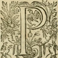 An illustration from Somme rural, ou, Le grand coustumier general de practique civil et canon (1611)