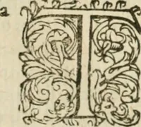 An illustration from Somme rural, ou, Le grand coustumier general de practique civil et canon (1611)