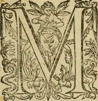 An illustration from Somme rural, ou, Le grand coustumier general de practique civil et canon (1611)