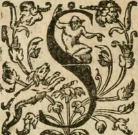 An illustration from Somme rural, ou, Le grand coustumier general de practique civil et canon (1611)