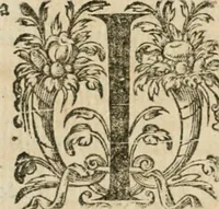 An illustration from Somme rural, ou, Le grand coustumier general de practique civil et canon (1611)