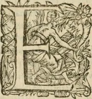 An illustration from Somme rural, ou, Le grand coustumier general de practique civil et canon (1611)