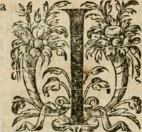 An illustration from Somme rural, ou, Le grand coustumier general de practique civil et canon (1611)