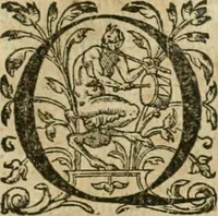 An illustration from Somme rural, ou, Le grand coustumier general de practique civil et canon (1611)