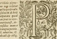 An illustration from Somme rural, ou, Le grand coustumier general de practique civil et canon (1611)