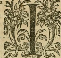An illustration from Somme rural, ou, Le grand coustumier general de practique civil et canon (1611)