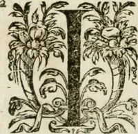 An illustration from Somme rural, ou, Le grand coustumier general de practique civil et canon (1611)