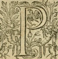 Picture 170 of 234 from Somme rural, ou, Le grand coustumier general de practique civil et canon (1611), leaf 684