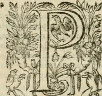 An illustration from Somme rural, ou, Le grand coustumier general de practique civil et canon (1611)