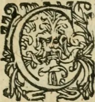 An illustration from Somme rural, ou, Le grand coustumier general de practique civil et canon (1611)