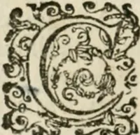 An illustration from Somme rural, ou, Le grand coustumier general de practique civil et canon (1611)