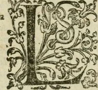 An illustration from Somme rural, ou, Le grand coustumier general de practique civil et canon (1611)