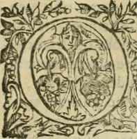 An illustration from Somme rural, ou, Le grand coustumier general de practique civil et canon (1611)
