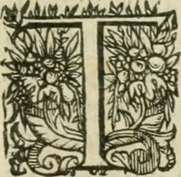 An illustration from Somme rural, ou, Le grand coustumier general de practique civil et canon (1611)
