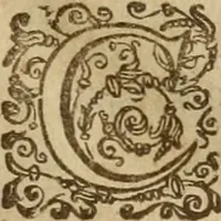 An illustration from Somme rural, ou, Le grand coustumier general de practique civil et canon (1611)