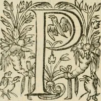 Picture 190 of 234 from Somme rural, ou, Le grand coustumier general de practique civil et canon (1611), leaf 801