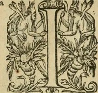 An illustration from Somme rural, ou, Le grand coustumier general de practique civil et canon (1611)