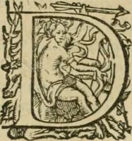 An illustration from Somme rural, ou, Le grand coustumier general de practique civil et canon (1611)