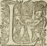 An illustration from Somme rural, ou, Le grand coustumier general de practique civil et canon (1611)