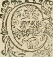 An illustration from Somme rural, ou, Le grand coustumier general de practique civil et canon (1611)