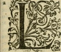 An illustration from Somme rural, ou, Le grand coustumier general de practique civil et canon (1611)