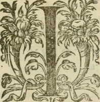 An illustration from Somme rural, ou, Le grand coustumier general de practique civil et canon (1611)