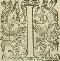 An illustration from Somme rural, ou, Le grand coustumier general de practique civil et canon (1611)