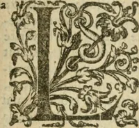 An illustration from Somme rural, ou, Le grand coustumier general de practique civil et canon (1611)