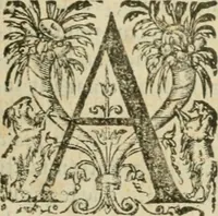 An illustration from Somme rural, ou, Le grand coustumier general de practique civil et canon (1611)