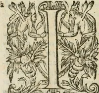 An illustration from Somme rural, ou, Le grand coustumier general de practique civil et canon (1611)