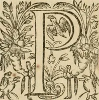 An illustration from Somme rural, ou, Le grand coustumier general de practique civil et canon (1611)