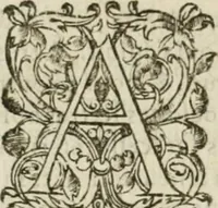 An illustration from Somme rural, ou, Le grand coustumier general de practique civil et canon (1611)