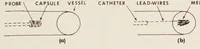 Picture 4 of 9 from Songs by Ben Jonson : a selection from the plays, masques, and poems, with the earliest known settings of certain numbers (1906), leaf 173